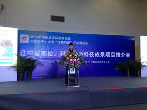 2012中國東北及環(huán)渤海地區(qū)中小企業(yè)專精特新產(chǎn)品技術(shù)展覽洽談會(huì)市場營銷策劃